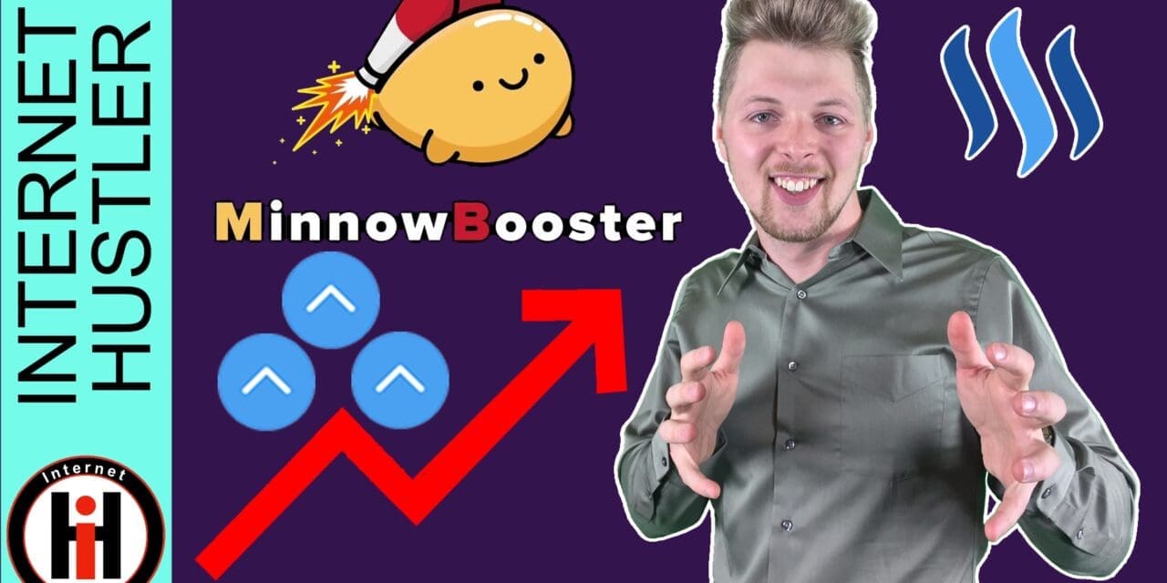 How To Use Minnow Booster To Grow On Steemit