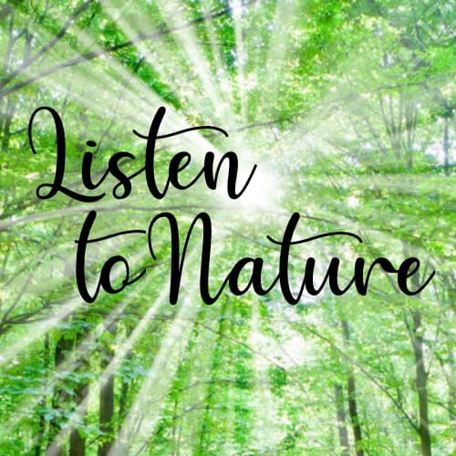 Listen To Nature YouTube Channel